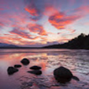 Meet your Posher, Shades